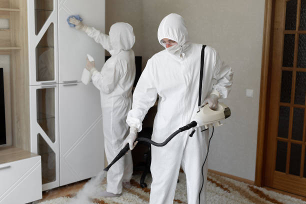 Professional Mold Removal in Dunes City, OR