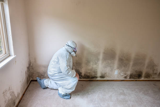 Best Crawl Space Mold Removal  in Dunes City, OR